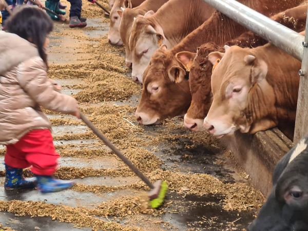 Farm outing Montessori House Brussels