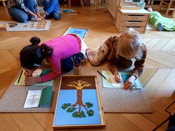 Nursery Montessori house Brussels